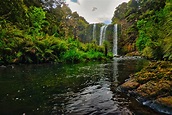 Whangarei Falls Foto & Bild | landschaft, wasserfälle, bach, fluss ...
