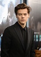 Harry Styles Defends Fans at Dunkirk Premiere