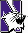 Download High Quality northwestern university logo official Transparent ...