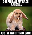Nicolas Cage thinks the Cage Rage memes are a "disservice" to his new ...