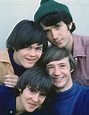 Pin by Kar3n.59 on Memories (With images) | The monkees, Comedy tv ...