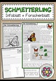 Der Schmetterling - Infoblatt + Forscherblatt | Forscher ...