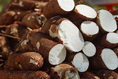 12 facts you did not know about cassava