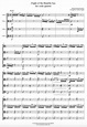 Rimsky-Korsakov – Flight of the Bumble bee – Absolute Zero Viola Quartet