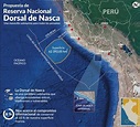 Dorsal de Nasca: gobierno de Perú crea reserva marina y permite la ...