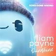 Sunshine (From the Motion Picture “Ron’s Gone Wrong”) (선샤인) by Liam ...