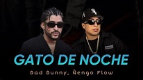 Bad Bunny FT Ñengo Flow - Gato De Noche - YouTube