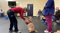 Woods Humane Society expands dog behavior and training program
