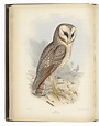 GRAY, George Robert (1808-1872). The Genera of Birds; comprising their ...