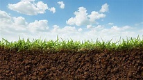BMEL - Boden - Boden - Basis der Landwirtschaft