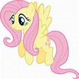 All About: Fluttershy | My Little Pony: Friendship is Magic
