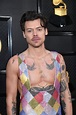 Harry Styles Attends the 2023 Grammys | POPSUGAR Celebrity