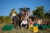 Second Chance Summer: Tuscany, BBC2: Meet the Brits who went to Tuscany ...