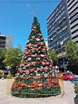 File:Arbol de Navidad en Plaza Fabini.jpg - Wikimedia Commons