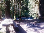 Dosewallips Campground Olympic National Park