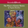 The Planet of Junior Brown : Virginia Hamilton, Peter Francis James ...