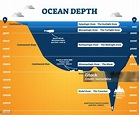 Ocean Depth Zones Infographic Vector Illustration Labeled Diagram Stock ...
