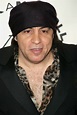 Steven Van Zandt | The Sopranos Wiki | Fandom