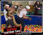 Jackass Number Two - Johnny Knoxville Wallpaper (705854) - Fanpop