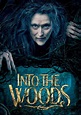 Into the Woods streaming: where to watch online?