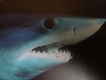 File:Close up of mako shark head 005.jpg - Wikimedia Commons