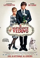 Aspirante Vedovo : Mega Sized Movie Poster Image - IMP Awards
