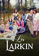 Los Larkin - Ver la serie online completas en español