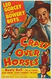 Crazy Over Horses (película 1951) - Tráiler. resumen, reparto y dónde ...