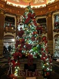 Festival of Trees at the Allen - Tours of Cleveland, LLC