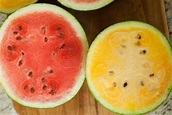 8 Things You Never Knew About Watermelon