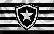 Botafogo Wallpapers - Top Free Botafogo Backgrounds - WallpaperAccess