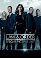 Ley y orden: unidad de víctimas especiales temporada 24 - Ver todos los ...