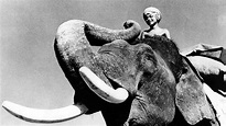Ver Sabu - Toomai, el de los elefantes (1937) Online en Español y ...