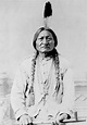 10 Things You May Not Know About Sitting Bull - History in the Headlines