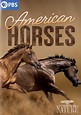 American Horses (película 2022) - Tráiler. resumen, reparto y dónde ver ...
