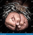 Hands Chained In Chains Isolated On Black Background Royalty-Free Stock ...