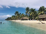 Isla Saona Dominican Republic / Isla Saona | Saona island, Beach ...