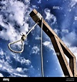 Hangman's noose Stock Photo, Royalty Free Image: 310219660 - Alamy