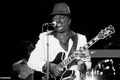 American Blues musician Mighty Joe Young (1927 - 1999) performs onstage ...