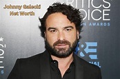 Johnny Galecki Net Worth 2024: Salary, Income, Home and Age