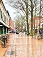 TRAVEL GUIDE: Ultimate Charlottesville VA Guide | Southern Belle in ...