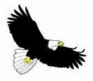 Download High Quality eagle clipart soaring Transparent PNG Images ...
