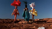 The Adventures of Priscilla, Queen of the Desert - Chlotrudis Society ...