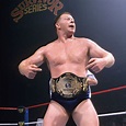 That time Bob Backlund recaptured the WWF title at Survivor Series 1994 ...