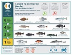 Safe-to-Eat Fish from the San Francisco Bay - San Mateo County Health