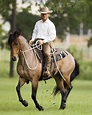 Chris Cox (horse trainer) - Alchetron, the free social encyclopedia