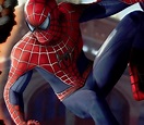 Art: Tobey Maguire Suit in Spider-Man PS4 (Credit goes to the original ...