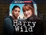 Prime Video: Harry Wild: Series 2