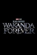 Black Panther Wakanda Forever 2022 The Movie Database Tmdb - Photos