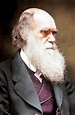 Charles Darwin: The Shropshire man whose ideas changed the world ...